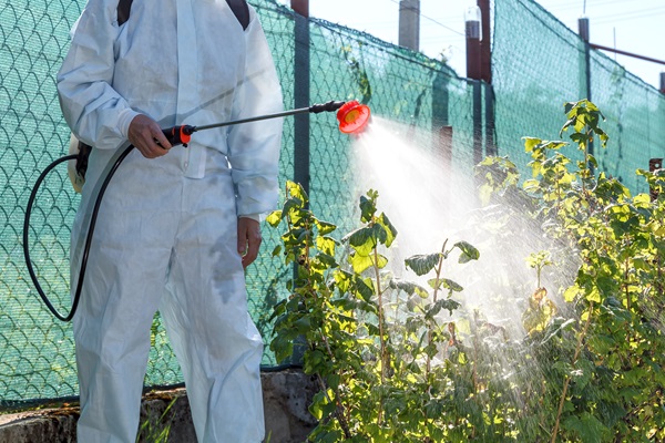 Harmful Pesticide