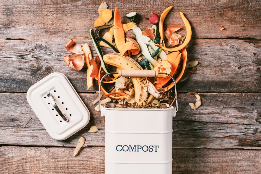 In Your Compost Bin