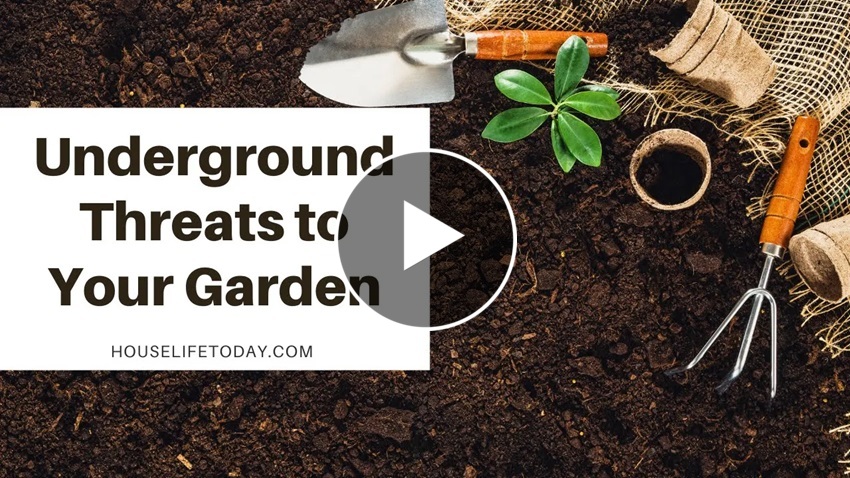 Threats Lurking Underground In Your Garden